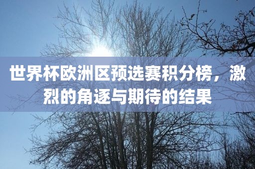 世界杯欧洲区预选赛积分榜，激烈的角逐与期待的结果