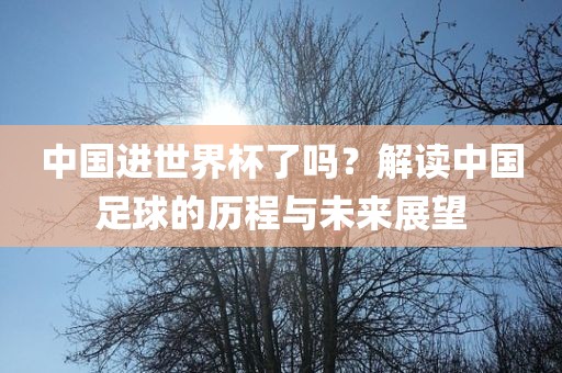 中国进世界杯了吗？解读中国足球的历程与未来展望眉山市正发家政服务有限公司