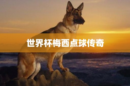 世界杯梅西点球传奇眉山市正发家政服务有限公司