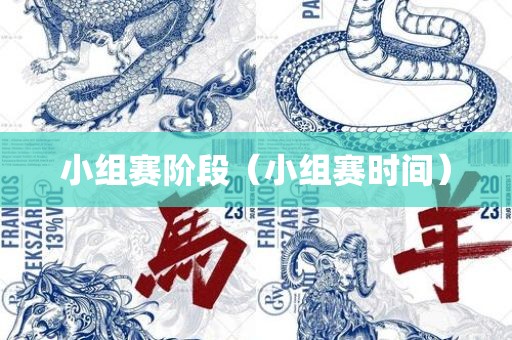 小组赛阶段（小组赛时间）