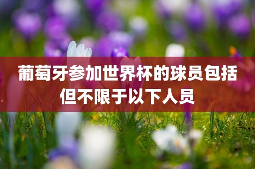 眉山市正发家政服务有限公司葡萄牙参加世界杯的球员包括但不限于以下人员