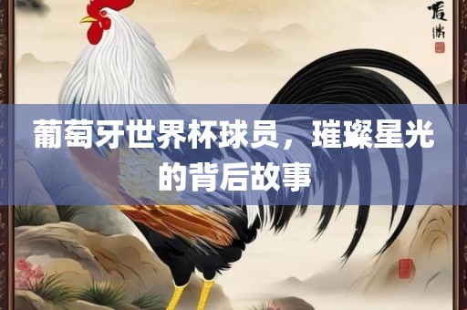 葡萄牙世界杯球员，璀璨星光的背后故事