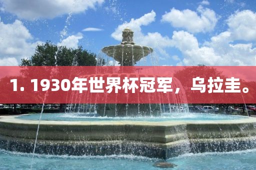1. 1930年世界杯冠军，乌拉圭。眉山市正发家政服务有限公司