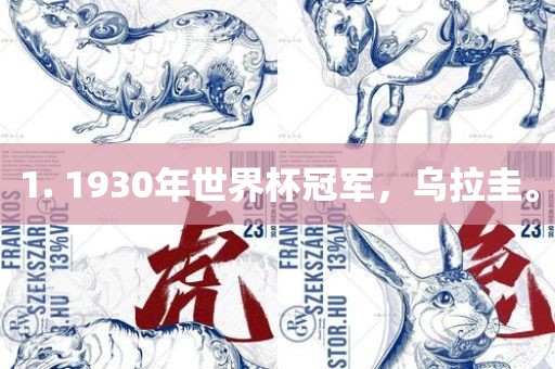 1. 1930年世界杯冠军，乌拉圭。眉山市正发家政服务有限公司
