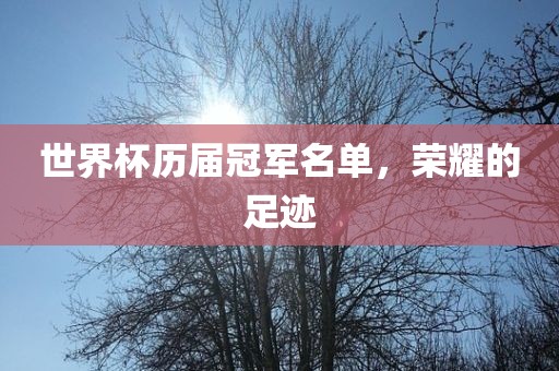 linzhenyu 第5页