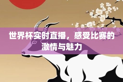 世界杯实眉山市正发家政服务有限公司时直播，感受比赛的激情与魅力