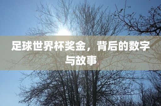 足球世界杯奖金，背后的数字与故事眉山市正发家政服务有限公司