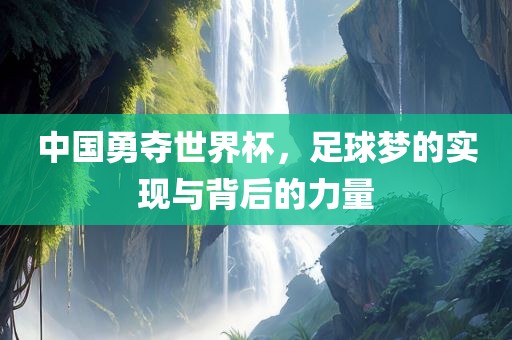 中国勇夺世界杯，足球梦的实现与背后的力量眉山市正发家政服务有限公司