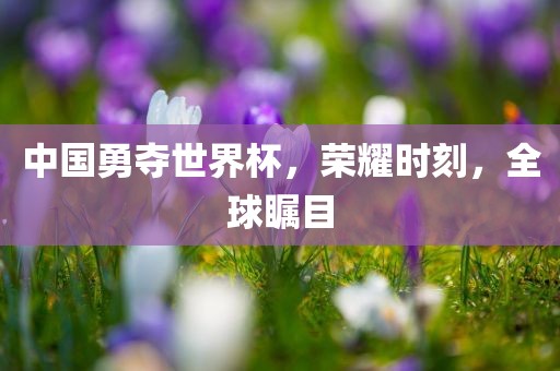 中国勇夺世界杯，荣耀时刻，全球瞩目眉山市正发家政服务有限公司
