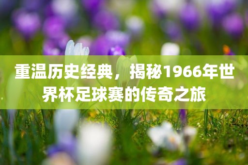 重温历史经典，揭秘1966年世界杯足球赛的传奇之旅