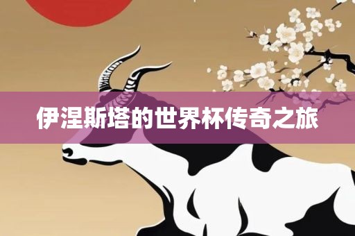 伊涅斯塔的世界杯传奇之旅