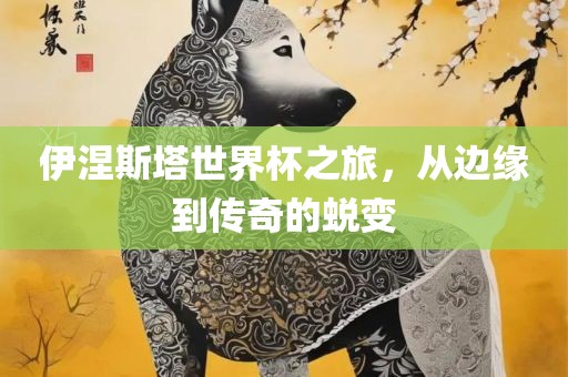 伊涅斯塔世界杯之旅，从边缘到传奇的蜕变