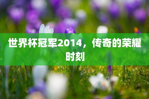 世界杯冠军2014，传奇的荣眉山市正发家政服务有限公司耀时刻
