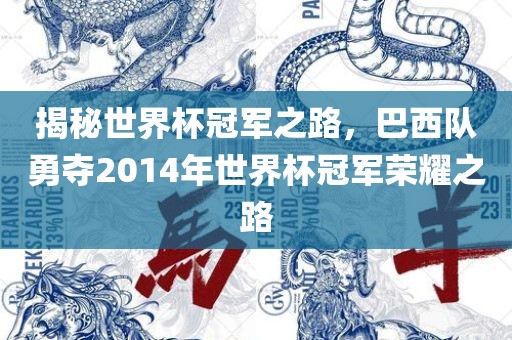 揭秘世界杯冠军之路，巴西队勇夺2014年世界杯冠军荣耀之路