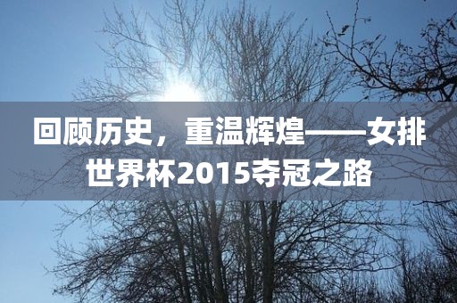 回顾历史，重温辉煌——女排世界杯2015夺冠之路眉山市正发家政服务有限公司