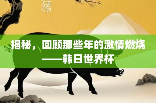 揭秘，回顾那些年的激情燃烧——韩日世界杯眉山市正发家政服务有限公司