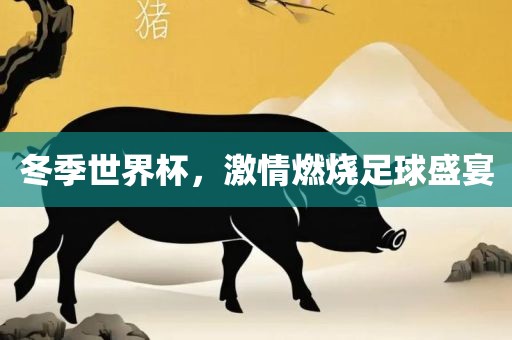 冬季世界杯，激情燃烧足球盛宴眉山市正发家政服务有限公司