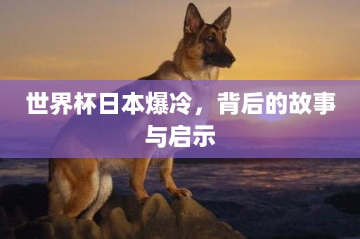 世界杯日本爆冷，背后的故事眉山市正发家政服务有限公司与启示