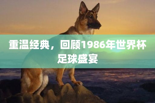 重温经典，回顾1986年世界杯足球盛宴眉山市正发家政服务有限公司