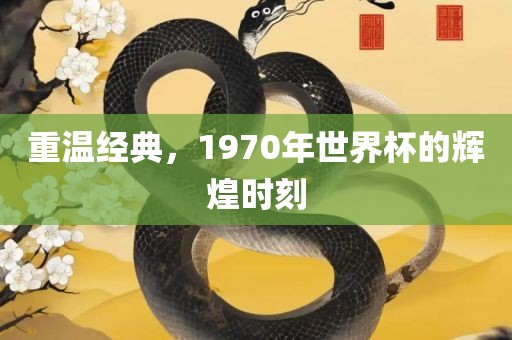 重温经典，1970年世眉山市正发家政服务有限公司界杯的辉煌时刻