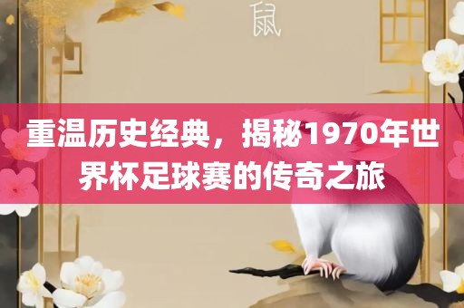 世界杯足球赛 第6页