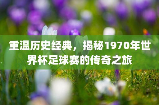 重温历史经典，揭秘1970年世界杯足球赛的传奇之旅眉山市正发家政服务有限公司