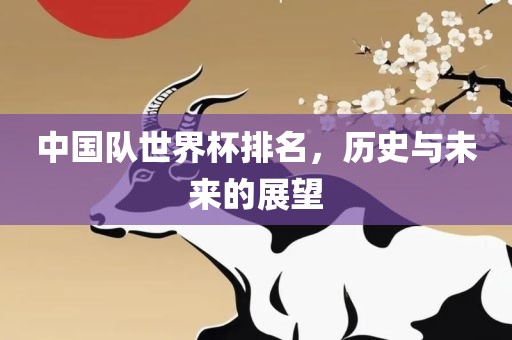 中国队世界杯排名，历史与未来的展望眉山市正发家政服务有限公司