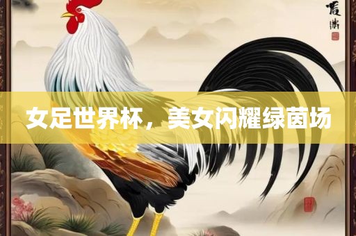女足世界杯，美女闪耀绿茵场眉山市正发家政服务有限公司