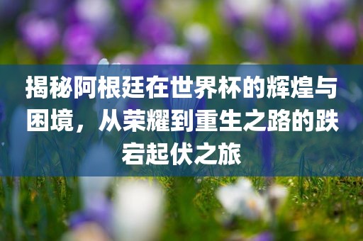 揭秘阿根廷在世界杯的辉煌与困境，从荣耀到重生之路的跌宕起伏之旅眉山市正发家政服务有限公司
