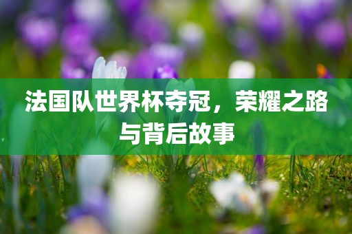 法国队世界杯夺冠，荣耀之路与背后故事