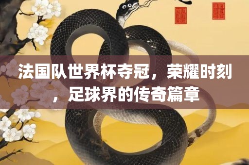 法国队世界杯夺冠，荣耀时刻，足球界的传奇篇章眉山市正发家政服务有限公司
