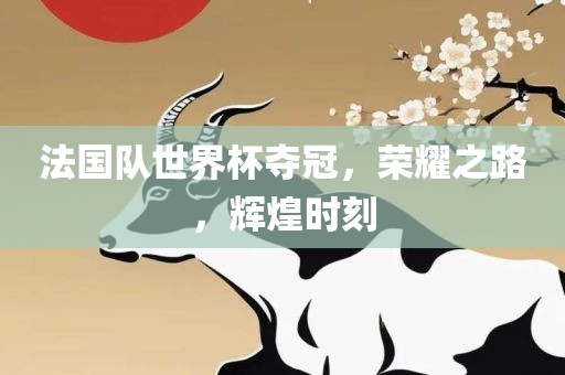 法国队世界杯夺冠，荣耀之路，辉煌时刻眉山市正发家政服务有限公司