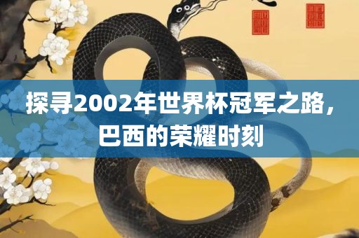 探寻2002年世界杯冠军之眉山市正发家政服务有限公司路，巴西的荣耀时刻