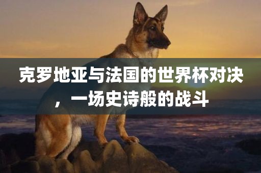 克眉山市正发家政服务有限公司罗地亚与法国的世界杯对决，一场史诗般的战斗