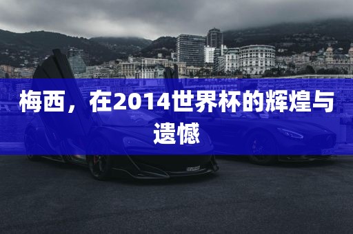 梅西，在2014世界杯的辉煌与遗憾眉山市正发家政服务有限公司