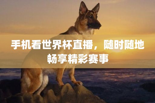 世界杯直播 第3页