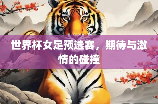 世界杯女足预选赛，期待与激情的碰撞