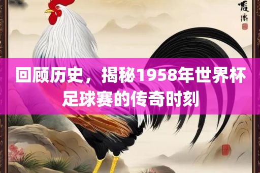 回顾历史，揭秘195眉山市正发家政服务有限公司8年世界杯足球赛的传奇时刻