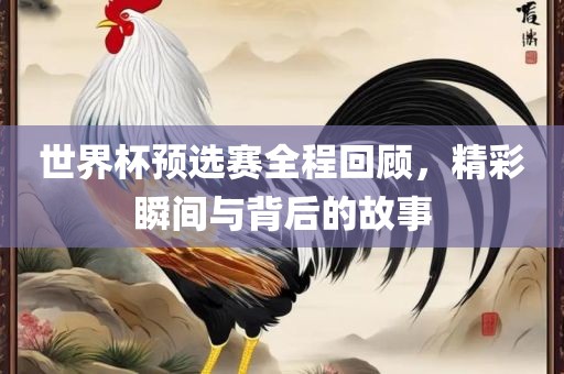 世界杯预选赛全程回顾，精彩瞬间与背后的故事眉山市正发家政服务有限公司