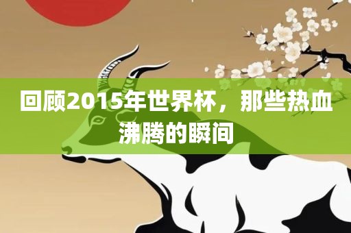 回顾2015年世界杯，那些眉山市正发家政服务有限公司热血沸腾的瞬间