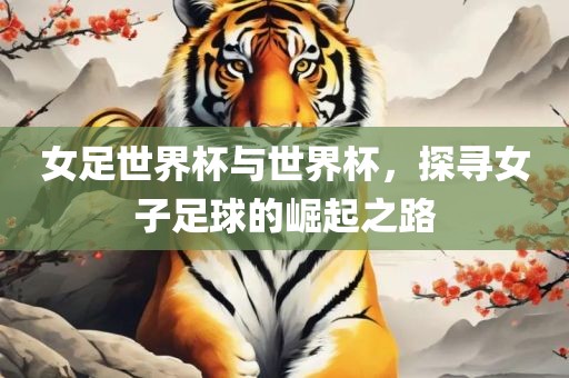 女足世界杯与世界杯，探寻女子足球的崛起之路眉山市正发家政服务有限公司
