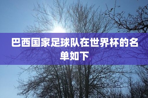 巴西国家足球队在世界杯的名单如下眉山市正发家政服务有限公司