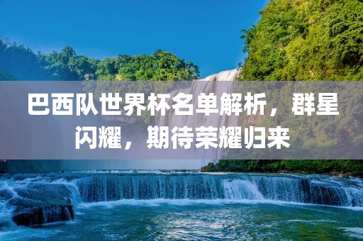 巴西队世界杯名单解析，群星闪耀，期待荣耀归来