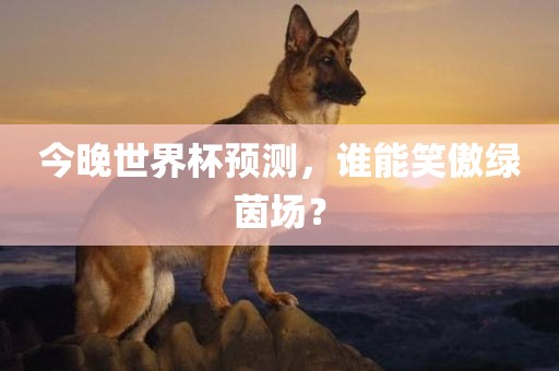 今晚世界杯预测，谁能笑傲绿茵场？