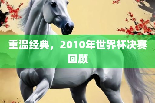 重温经典，2010年世界杯决赛回顾眉山市正发家政服务有限公司