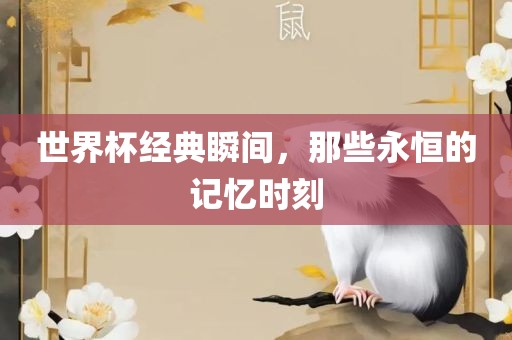 世界杯经典瞬间，那些永恒的记忆时刻眉山市正发家政服务有限公司