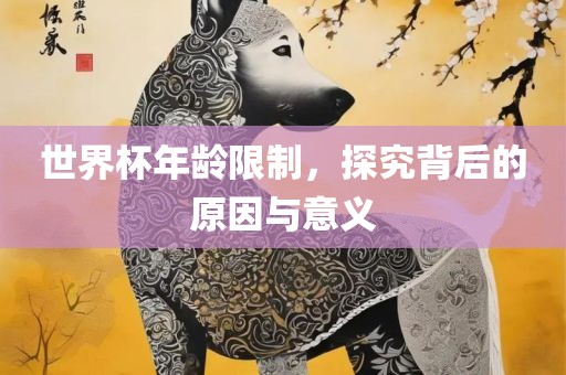 世界杯年龄限制，探究背后眉山市正发家政服务有限公司的原因与意义