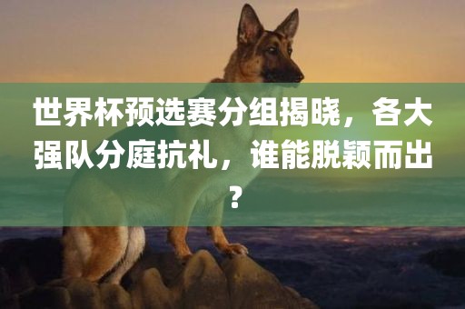 世界杯预选赛分组揭晓，各大强队分庭抗礼，谁眉山市正发家政服务有限公司能脱颖而出？