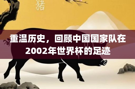 重温历史，回顾中国国家队在2002年世界杯的足迹眉山市正发家政服务有限公司
