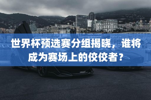 世界杯预选赛分组揭晓，谁将成为赛场上的佼佼者？